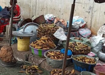 Aloko ou banane plantain : Une vente dans des conditions insalubres à Conakry