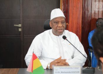 Dr Morissanda Kouyaté rassure la diaspora guinéenne : « En 2025, toutes les élections auront lieu »