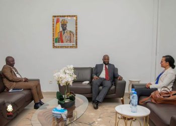 Renforcement de la Coopération : Le Ministre François Bourouno rencontre Madame Heba Elgazzaar de la Banque Mondiale