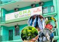 CNA : La Chambre Nationale d’Agriculture de Guinée tient son Assemblée Générale Consulaire pour Façonner l&rsquo;Avenir du Secteur Agricole