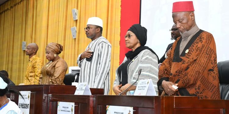 Guinée : Adoption du volet des dépenses du Projet de Loi de Finances Initiale (PLFI) pour l’année 2025 ce mardi 