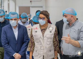 C’est parti pour la campagne nationale de recensement des unités industrielles en Guinée