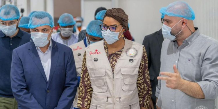 C’est parti pour la campagne nationale de recensement des unités industrielles en Guinée