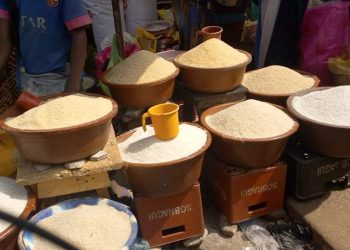 Baisse du prix du riz en Guinée : Une annonce insignifiante face à la réalité du marché