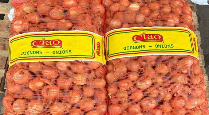 Groupe CIAO Guinée : Baisse significative du prix de l’oignon