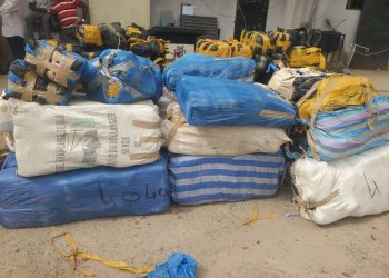 Saisie de chanvre indien à Conakry : 456 kilogrammes confisqués dans une opération spectaculaire
