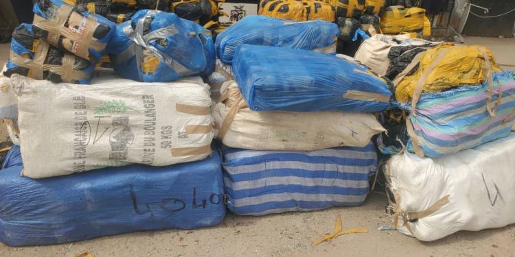Saisie de chanvre indien à Conakry : 456 kilogrammes confisqués dans une opération spectaculaire