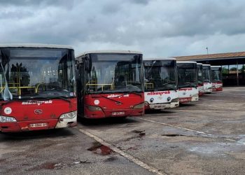 Souffrance et inquiétude à Albayrak Transport : 5 mois sans salaires, une situation de plus en plus désastreuse