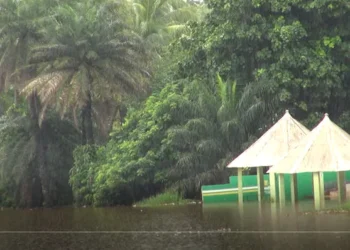 Conakry : Mohamed Bangoura Konko meurt noyé au lac de Sonfonia après une altercation avec des gendarmes