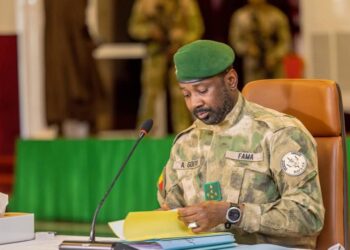 Mali : Un chef de l’EIGS arrêté par les FAMA
