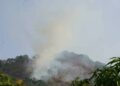 Guinée Forestière : Incendie en cours dans la forêt classée de Ziama