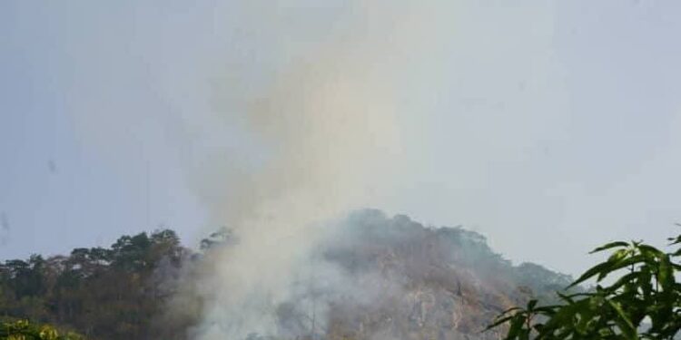 Guinée Forestière : Incendie en cours dans la forêt classée de Ziama 