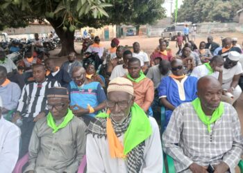 Renouvellement triomphal des instances du (PEDN) : La Haute Guinée prend le pas vers la victoire électorale
