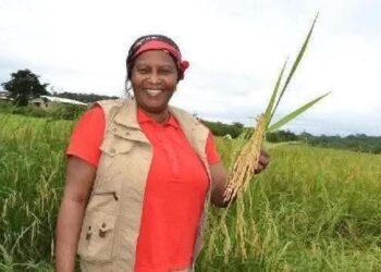 Décès de Mariama Soguipah Camara