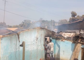 Un incendie ravage un maquis à N’Zérékoré avec une perte estimée à plus de 200 Millions GNF