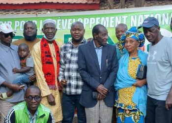 Après Gaoual, Koundara et Manda Sarah, le PE.D.N renouvelle ses instances à Labé avec enthousiasme