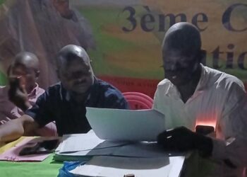 HAUTE GUINÉE : Le P.E.D.N. renouvelle ses instances à Dialakoro sans difficulté 