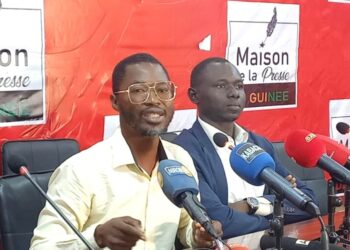 La HAC bloque l&rsquo;accès au site www.depecheguinee.com à l&rsquo;échelle nationale