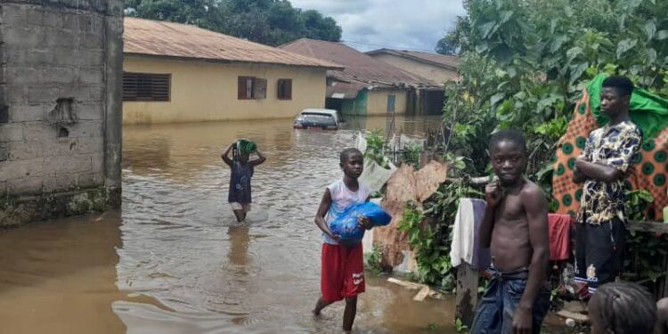Guinée : 2,5 millions de dollars du CERF pour soutenir les populations sinistrées