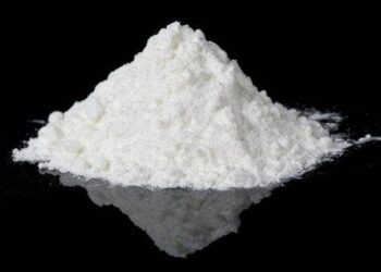 Conakry : 18 mois de prison et 300 millions GNF d’amende requis contre une trafiquante de cocaïne