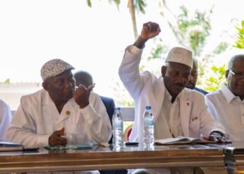 Le PDG-RDA apporte un soutien inébranlable à Mamadi Doumbouya : « notre candidat, c’est lui »