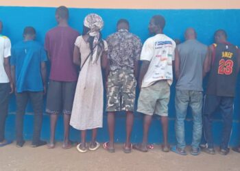10 jeunes dont une femme arrêtés par le commissariat central de Nongo pour détention, vente et consommation de drogue 
