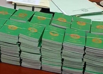Prolongation du délai de correction des anomalies sur les passeports guinéens jusqu’au 31 mars 2025