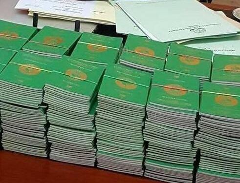 Prolongation du délai de correction des anomalies sur les passeports guinéens jusqu’au 31 mars 2025