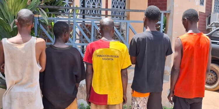 Dubréka : 5 présumés bandits interpellés par la BAC N°12 de Kéitayah