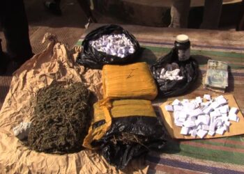 Conakry : un groupe présumé consommateur de drogue Kush, dont une femme de 59 ans, interpellé