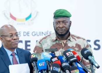Guinée : Pourquoi le gouvernement reprend la main sur les permis miniers?