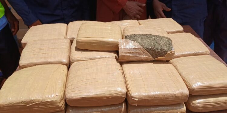 Mandiana : Une Sierra-Léonaise Interpellée avec 26 kg de Chanvre Indien