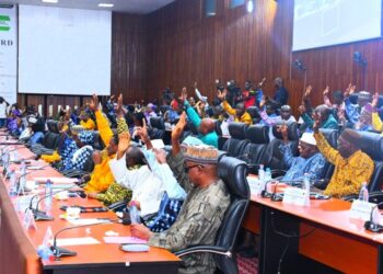 Présentation du projet de Constitution : convocation des Conseillers nationaux en séance plénière
