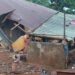Conakry : sept morts et de nombreux sinistrés après les fortes pluies du 31 juillet
