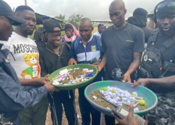 Conakry : 42 interpellations dans un vaste coup de filet anti-drogue à Ratoma