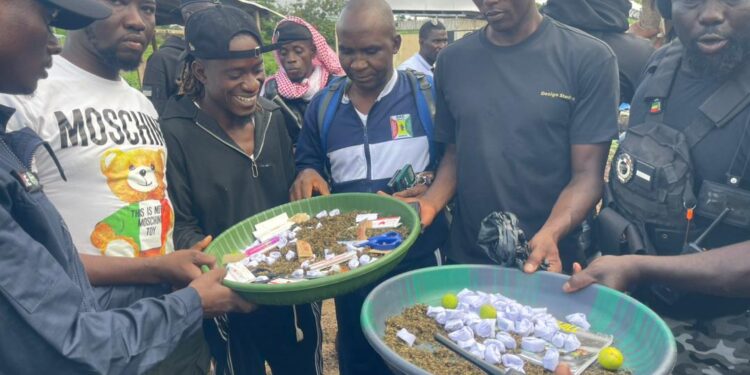 Conakry : 42 interpellations dans un vaste coup de filet anti-drogue à Ratoma