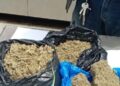 Conakry: 18 kg de Kush saisis depuis janvier, deux nouvelles opérations menées à Kaloum et Dixinn