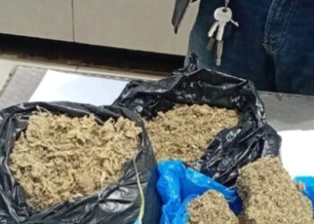 Conakry: 18 kg de Kush saisis depuis janvier, deux nouvelles opérations menées à Kaloum et Dixinn