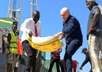Engagement exemplaire : Mustafa Levent Adali et Ousmane Savané en première ligne avec les dokers pour booster le débarquement des marchandises